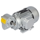 Worm Geared Motors MEG, up to 17 Nm, 19 to 560 rpm