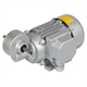 Worm Geared Motors MEK, up to 13 Nm, 14 to 280 rpm