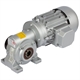 Worm Geared Motors RH, up to 32 NM, 18 to 207 rpm